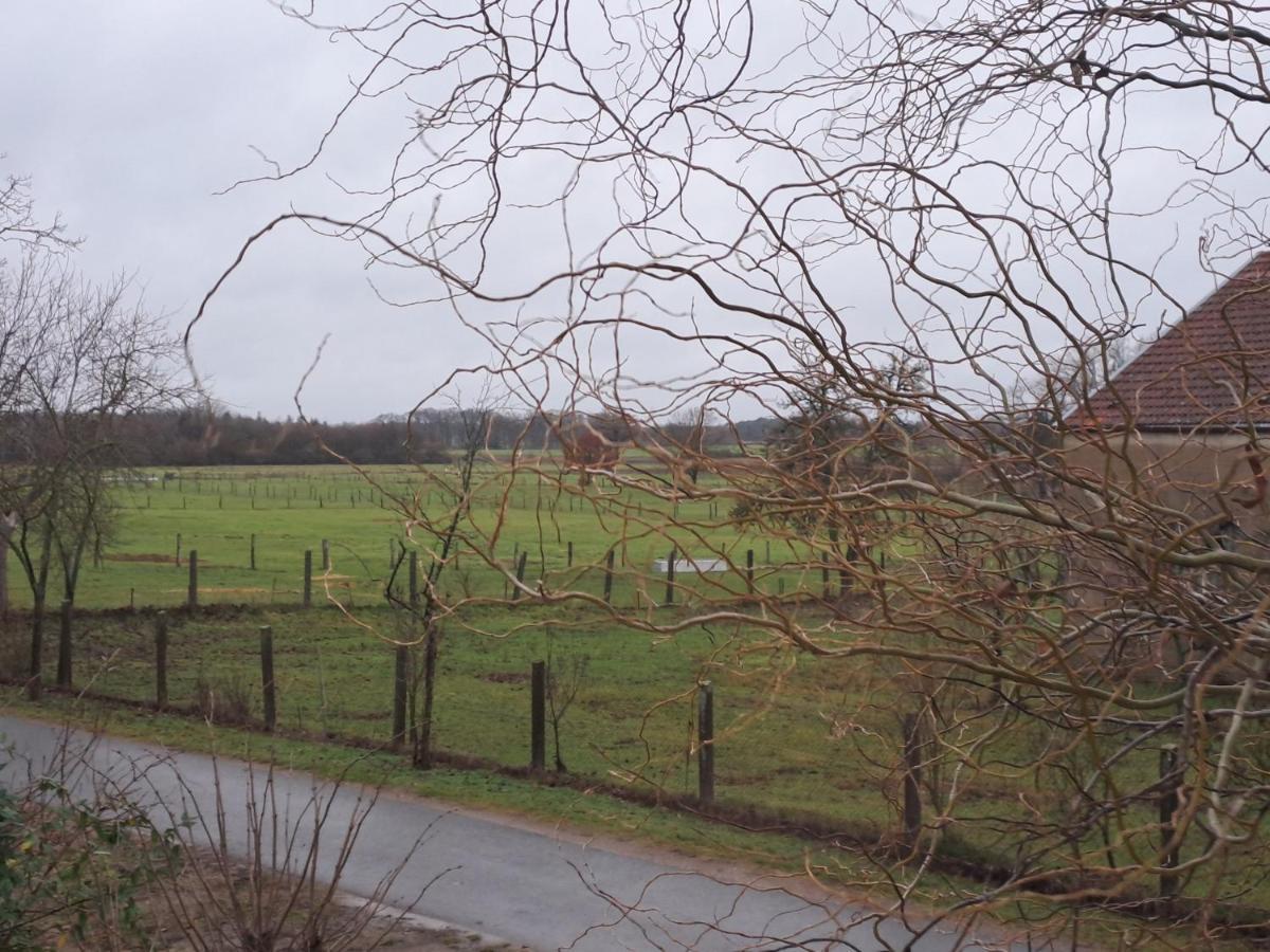 Gnaden- Und Ferienhof Saale Wittgenstein In The Middle Of Gar Nix Bismark Kültér fotó